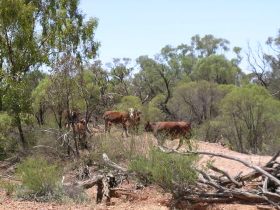 Aldville Station - Accommodation in Bendigo 2