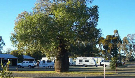 Tambo Mill Motel And Van Park - Accommodation in Bendigo 4