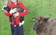 Cinnamon Coloureds Farmstay - thumb 0