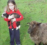 Cinnamon Coloureds Farmstay - Accommodation in Bendigo