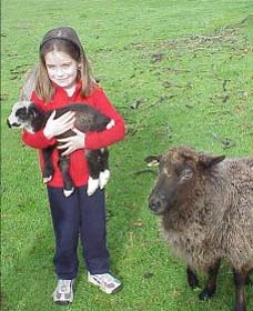 Cinnamon Coloureds Farmstay - Accommodation in Bendigo 0