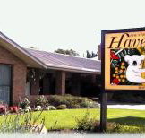 Begonia City Motor Inn - Accommodation in Bendigo