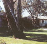 Winbi River Resort - Accommodation in Bendigo