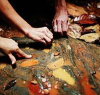 Daintree Eco Lodge And Spa - Accommodation in Bendigo