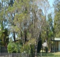 Nimbin Backpackers at Grannys Farm - Accommodation in Bendigo