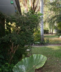 Douglas Daly Holiday Park - Accommodation in Bendigo 1