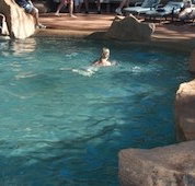 Undara Experience Lava Lodge - Accommodation in Bendigo