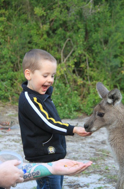 Wattle Point Waterfront Retreat - Accommodation in Bendigo 2