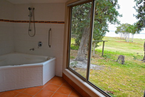 Wattle Point Waterfront Retreat - Accommodation in Bendigo 5