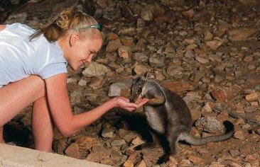 Heaviytrr Gap Outback Lodge - Accommodation in Bendigo 5