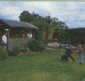Tambo Lodge - Accommodation in Bendigo