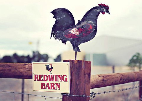 Redwing Farm - The Barn - Accommodation in Bendigo 0