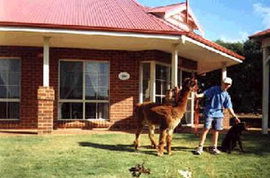 Accommodation in Bendigo