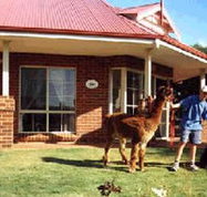 Brilea Cottages - Accommodation in Bendigo