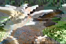 Wynyabbie House - Accommodation in Bendigo 2