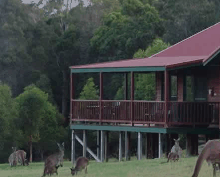Walpole Wilderness Resort - Accommodation in Bendigo