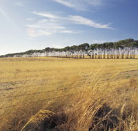 Port Wakefield Motel - Accommodation in Bendigo