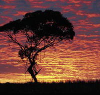 Kimba Caravan Park amp Motel - Accommodation in Bendigo