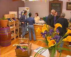 Settlers Ridge Organic Wines - Accommodation in Bendigo 0