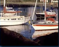 Boat Harbour Motel & Anchorage Restaurant - Accommodation in Bendigo 1