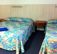 Mango Tree Motel - Accommodation in Bendigo