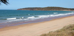 Mango Tree Motel - Accommodation in Bendigo 4