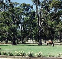 Saratoga Lodge - Accommodation in Bendigo