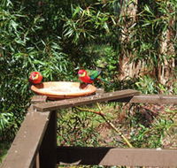 Tree Tops - Accommodation in Bendigo