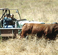 Bullo River Station - Accommodation in Bendigo