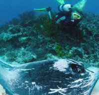 Heron Island Resort - Accommodation in Bendigo