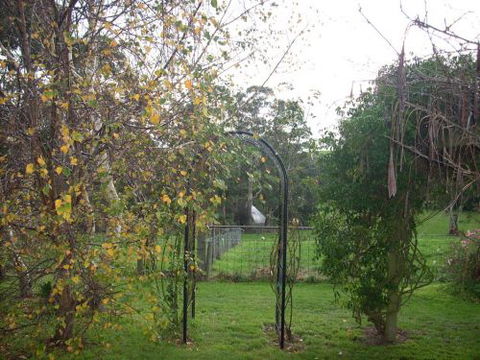 Whitelaw's Rest - Accommodation in Bendigo 1