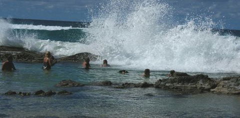Orchid Sands Fraser Island Accommodation - Accommodation in Bendigo 5