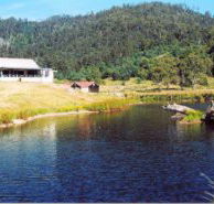Millybrook Lodge - Accommodation in Bendigo