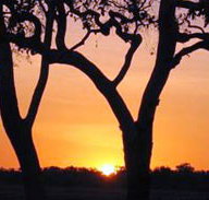 Coodardie Station Stay - Accommodation in Bendigo