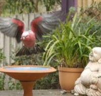 Wattle Court  Retreat - Accommodation in Bendigo