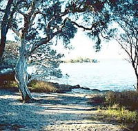 The Cove - Accommodation in Bendigo