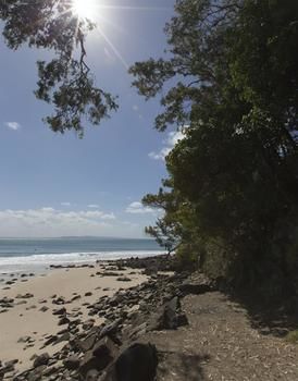 Sofitel Noosa Pacific Resort - Accommodation in Bendigo 36