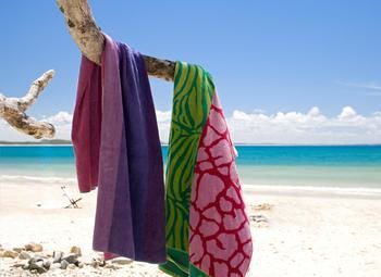 Sofitel Noosa Pacific Resort - Accommodation in Bendigo 38