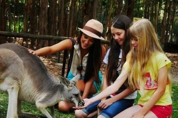 Pacific Horizons Resort - Accommodation in Bendigo 23