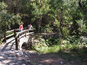 Glass House Mountains Ecolodge - Accommodation in Bendigo 9