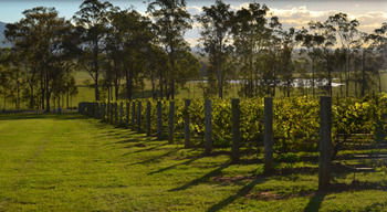 H Boutique Hotel - Accommodation in Bendigo 34