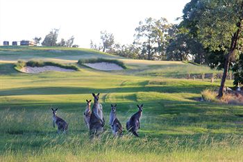 Riverside Oaks Golf Resort - Accommodation in Bendigo 1