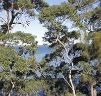 The Edgewater Bed amp Breakfast - Accommodation in Bendigo