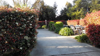 Branxton House Motel, Hunter Valley - Accommodation in Bendigo 13