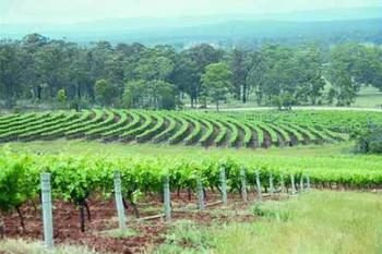 Hunter Hideaway Cottages - Accommodation in Bendigo 3