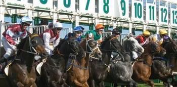 Hawkesbury Race Club Motel - Accommodation in Bendigo 13
