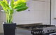 Mad Monkey Backpackers Kings Cross - Adults Only - thumb 6