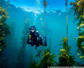 43 Degrees Bruny Island - Accommodation in Bendigo 3