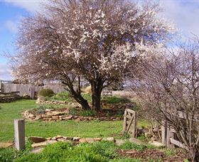 Lakeview Cottage - Accommodation in Bendigo 3