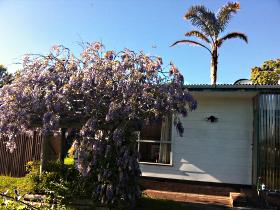 North East Apartments - Accommodation in Bendigo 1